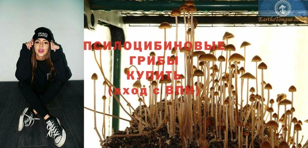 спайс Арсеньев