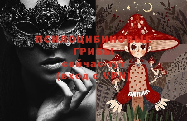 каннабис Аркадак